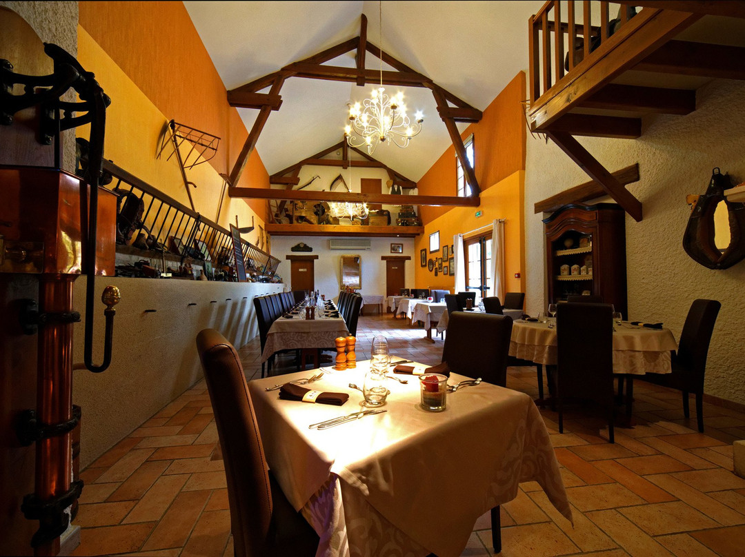 国际之家奥贝奇莫森主图