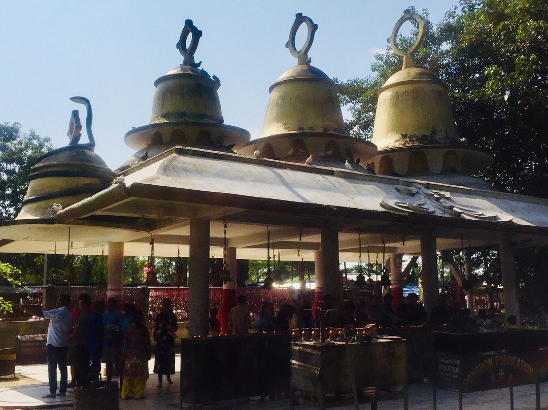 Tilinga Mandir Temple景点图片