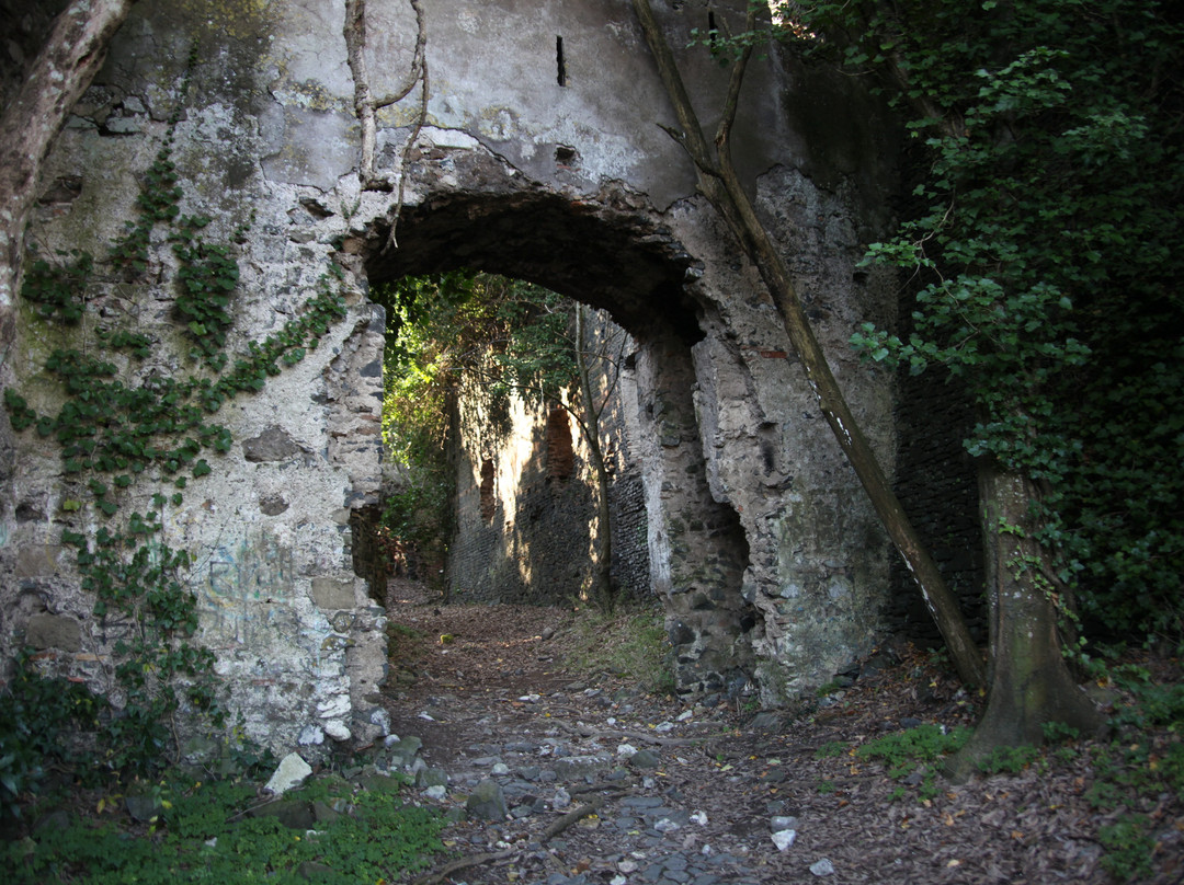 Galeria Antica景点图片