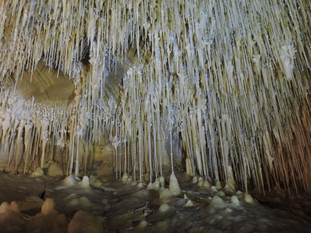 Grottes de Cougnac景点图片