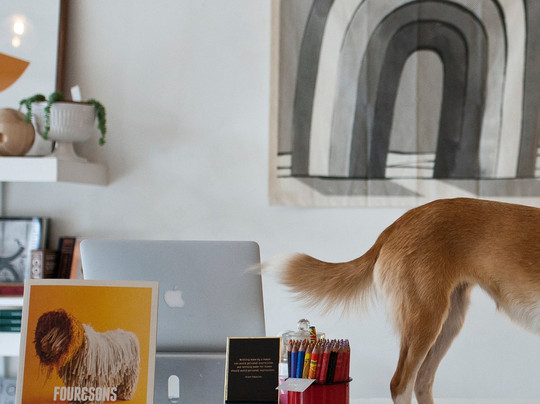 Colours May Vary-利兹必去景点