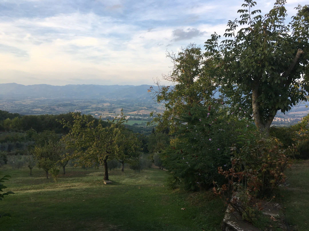 维拉坎佩斯特里橄榄油度假酒店主图