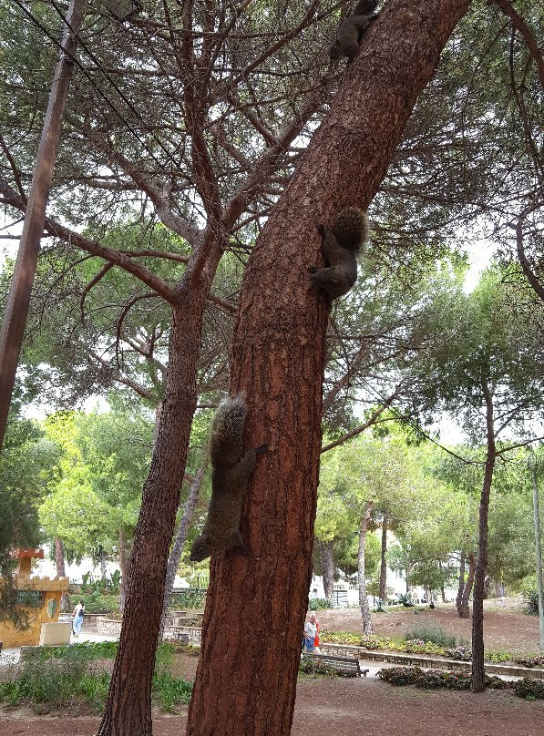 Parc de la Pinède-若安乐松必去景点