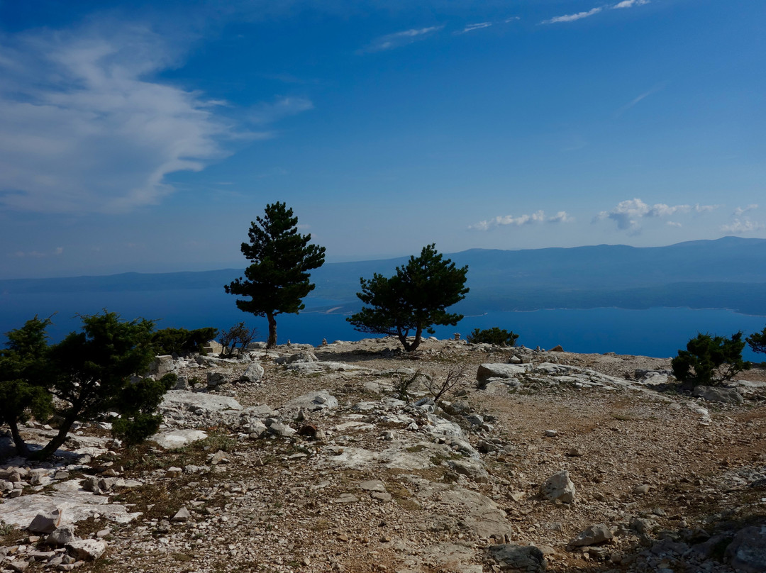 Island Brac Tour景点图片