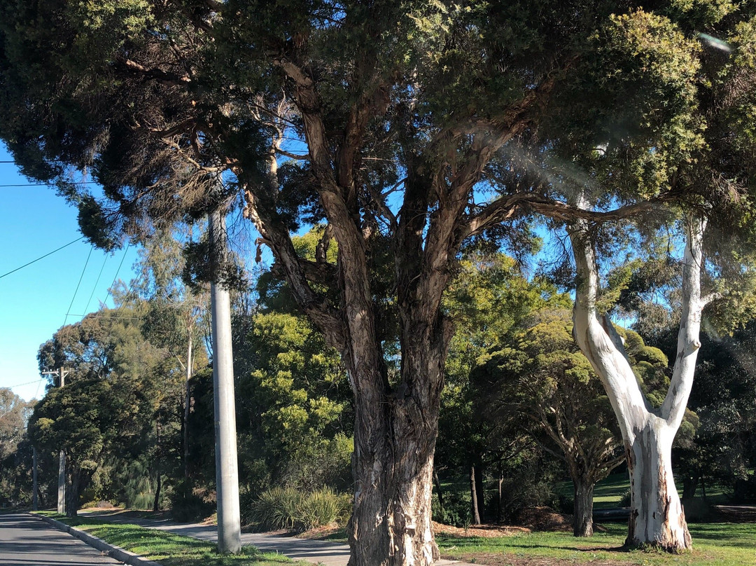 Marshall Reserve-唐克斯特必去景点