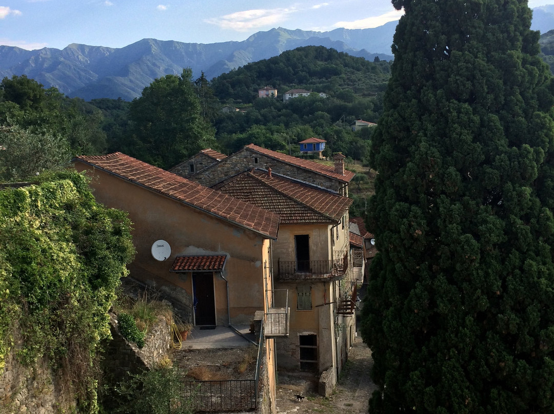 Castello di Castiglione del Terziere景点图片