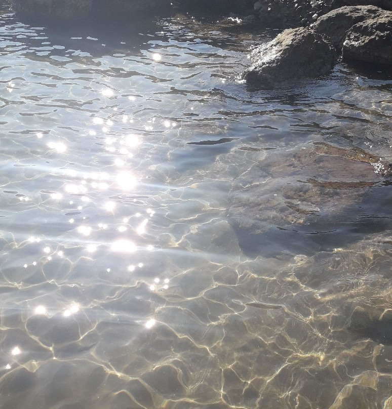 Habitat Playa Romana主图