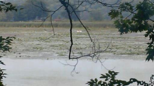 Fair Haven Beach State Park-Fair Haven必去景点