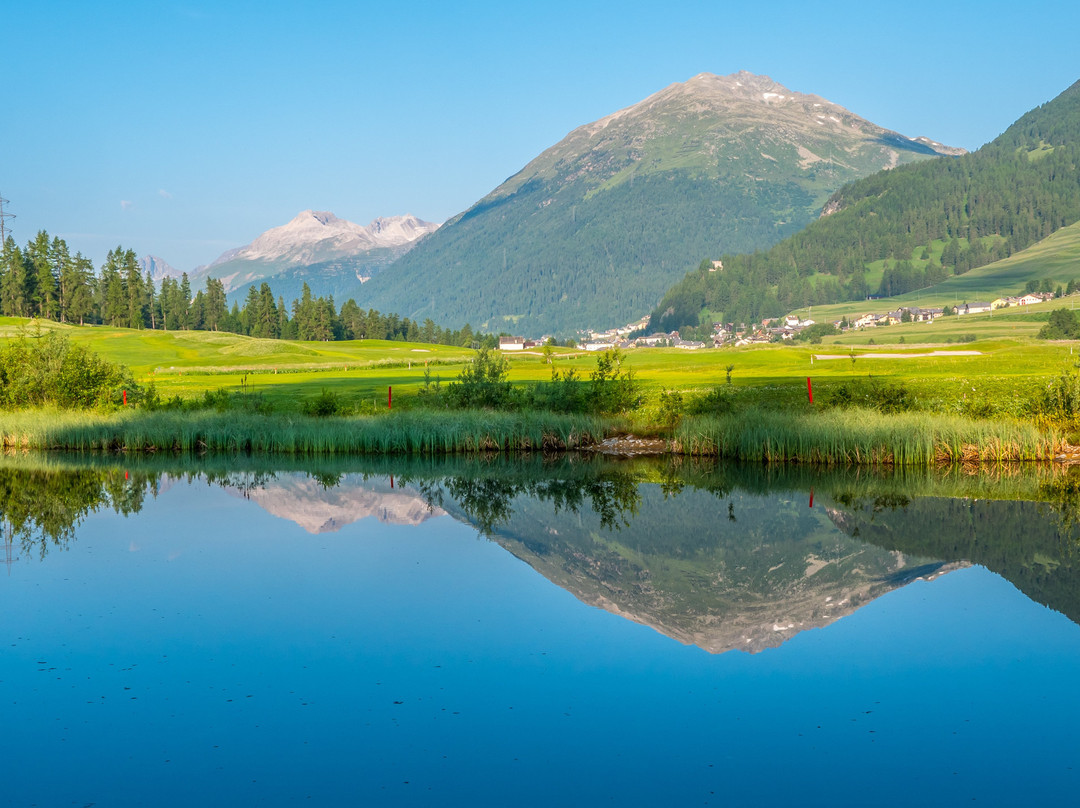 Engadine Golf Club景点图片