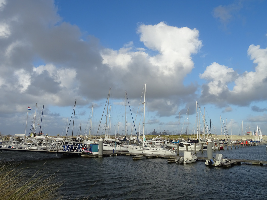 IJmuiden Strand景点图片
