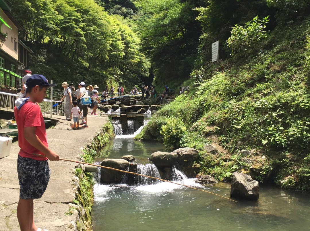 Chihayagawa Masu Fishing Area-千早赤阪村必去景点