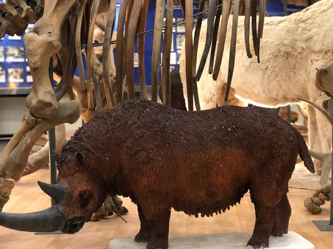 Mammoth Museum-雅库茨克必去景点