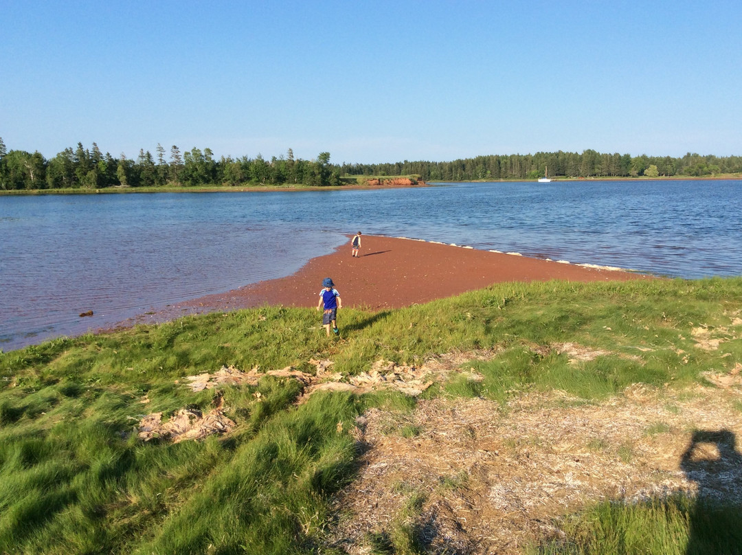 Briarwood Coastal Cottages & Lodge主图