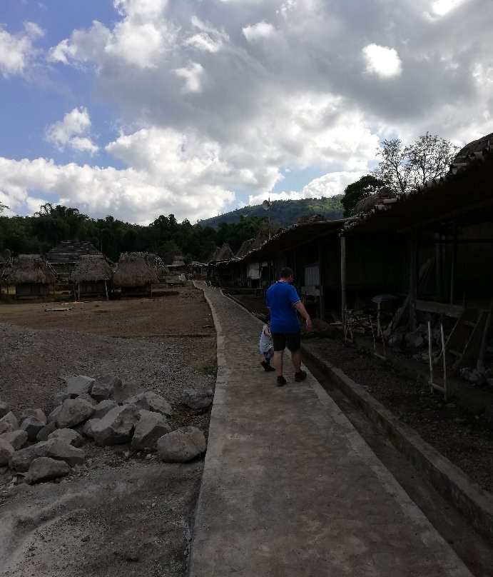 Wogo Traditional Village景点图片