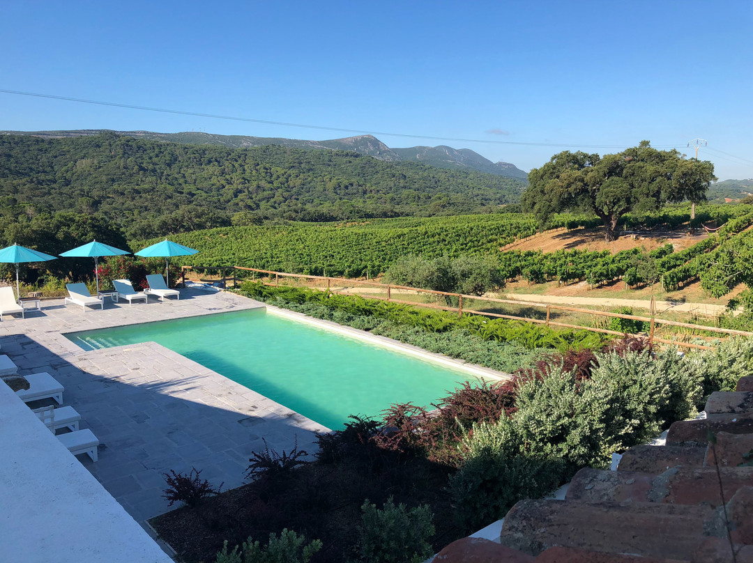 Hotel Casa Palmela主图