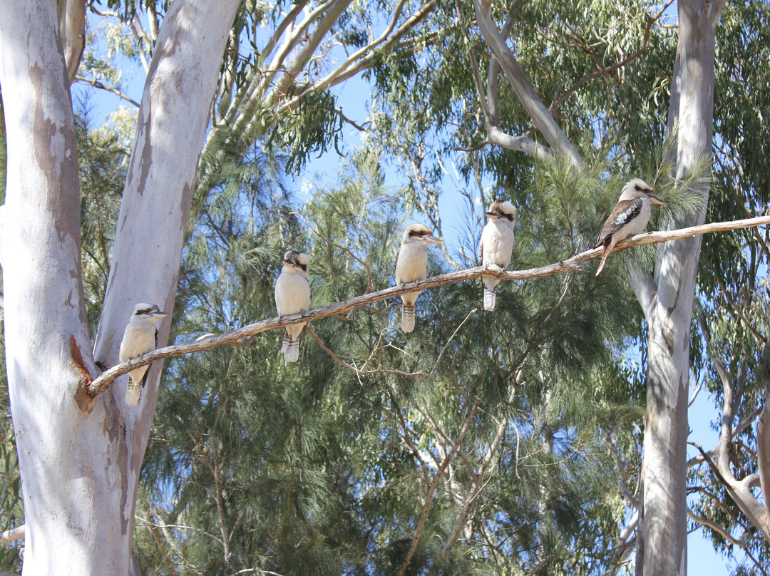 No. 7 Dam-Mount Morgan必去景点