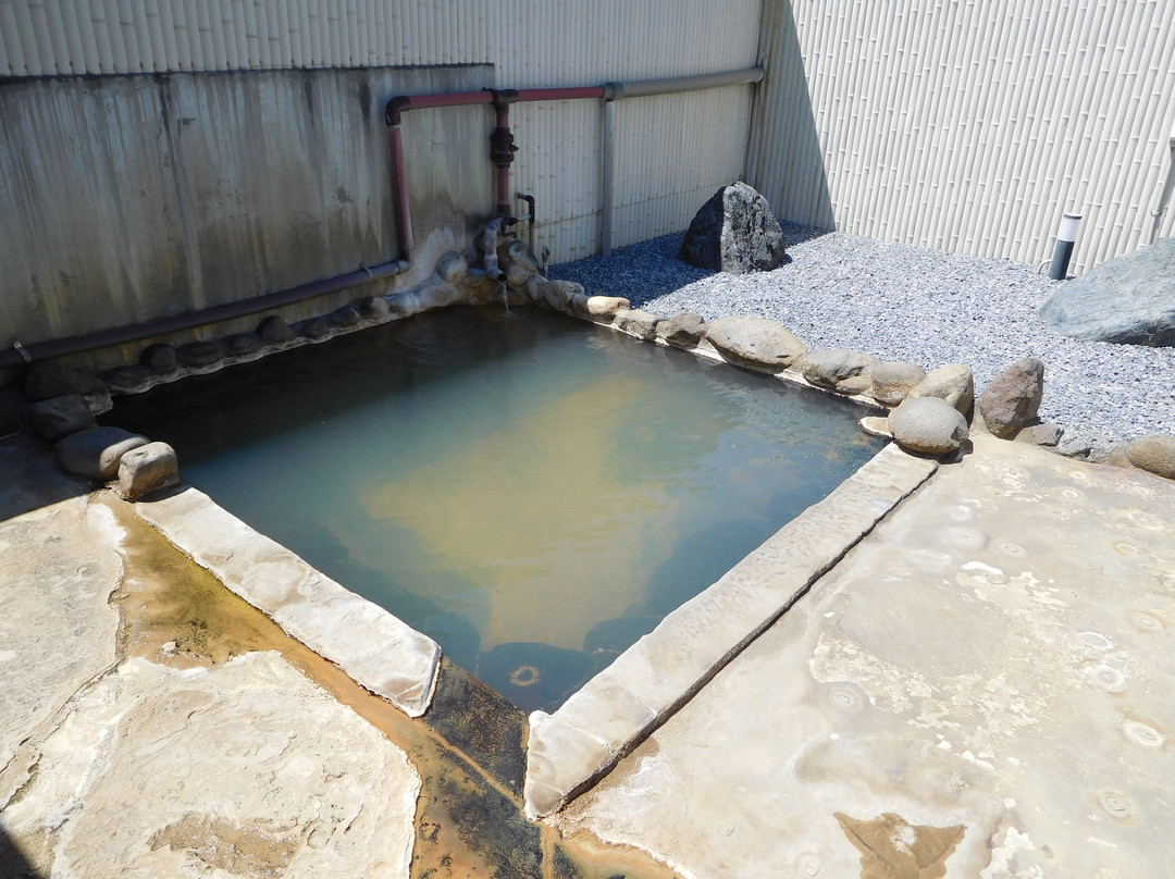 Onsen Ryokan Mikansei主图