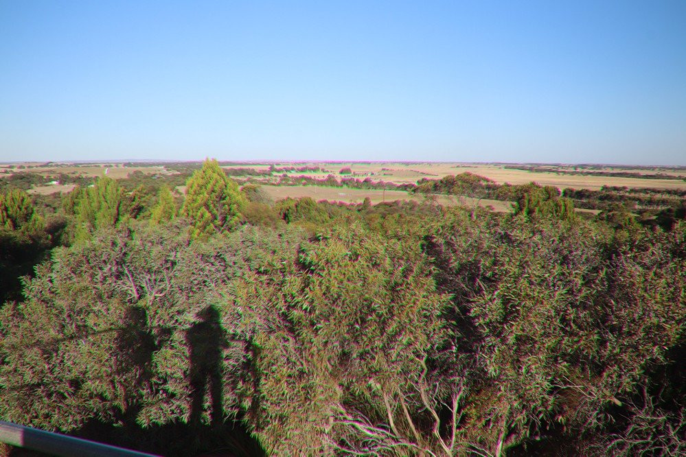 Meningie Lookout-Meningie必去景点