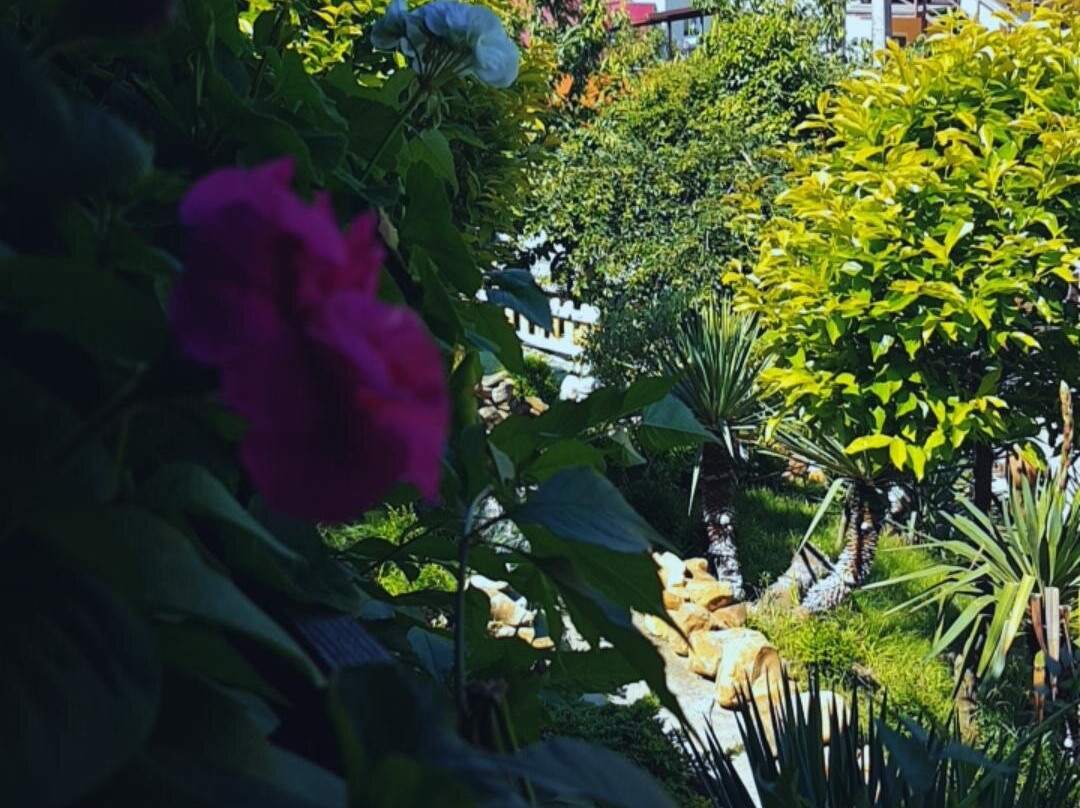 Guest house NikSa