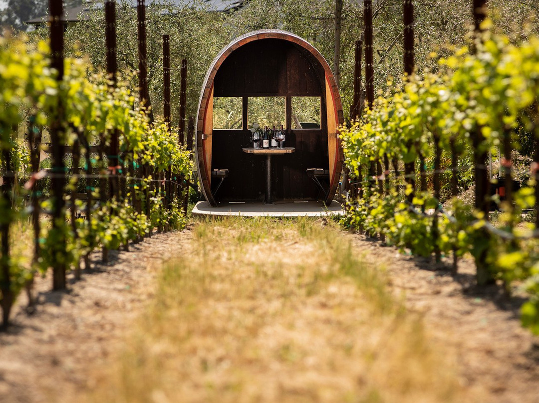 Martin Ray Vineyards & Winery景点图片