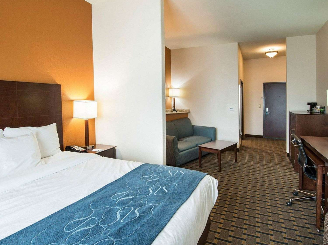 沃克西哈奇-达拉斯舒适套房酒店主图