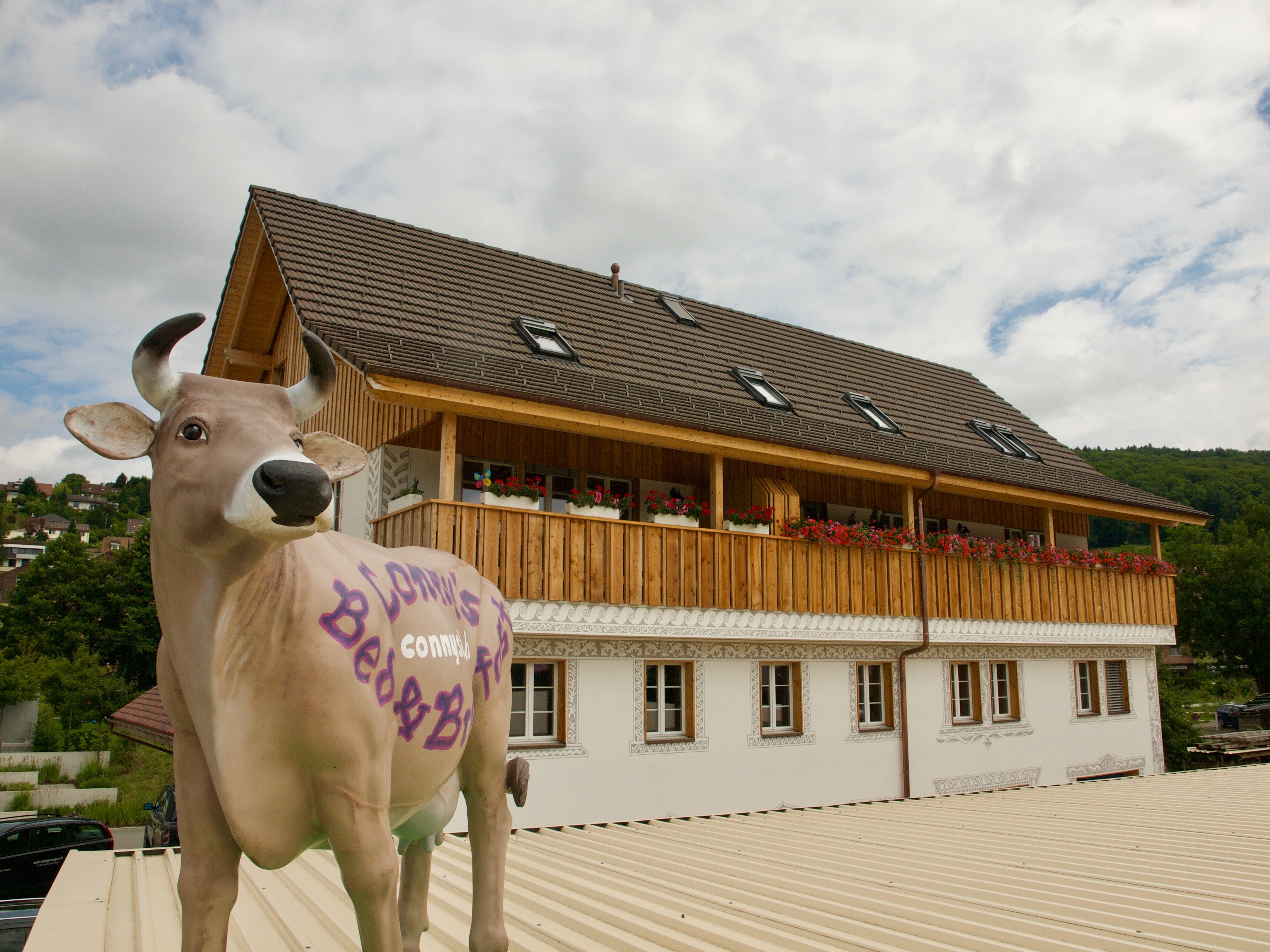 Conny's B&B-官方