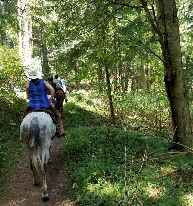 Orcas Island Trail Rides景点图片