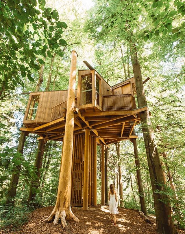 City Forrest Tree House-Celje必去景点