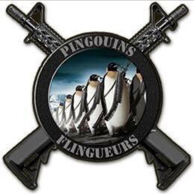Les Pingouins Flingueurs AAL景点图片