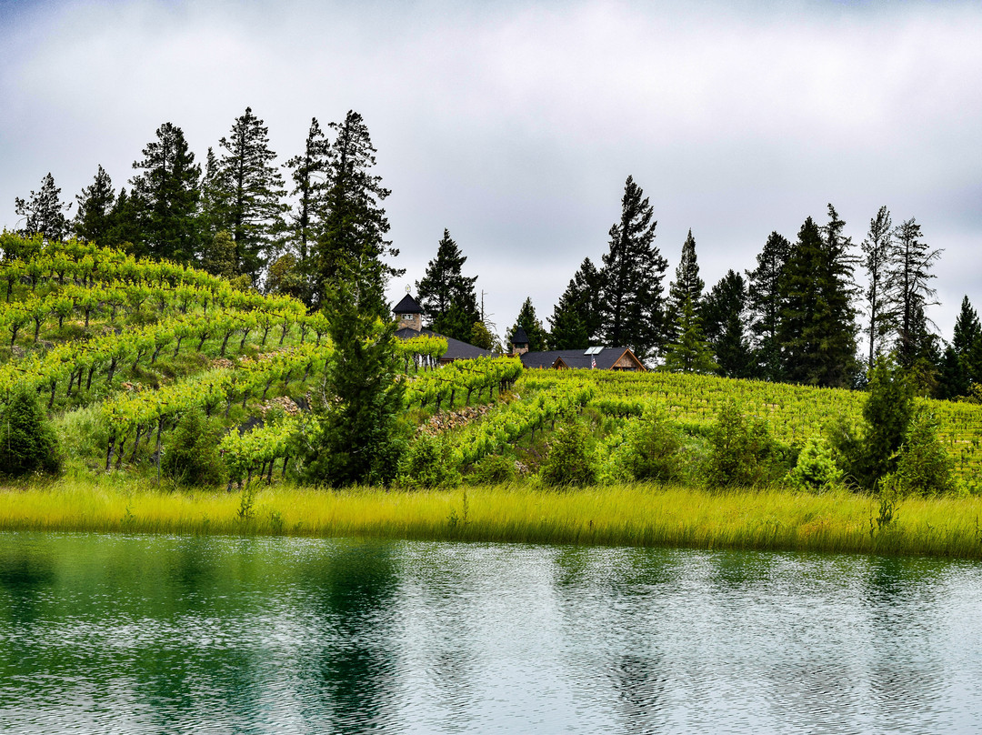Schweiger Vineyards景点图片
