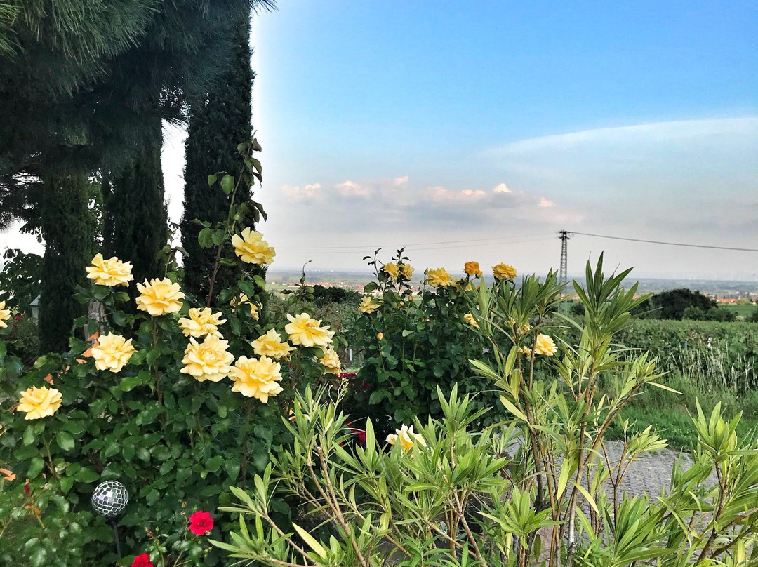 Landgasthof Jägerstübchen主图