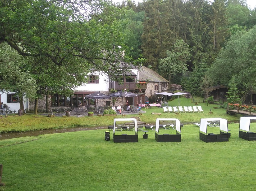 Domaine du Moulin d'Asselborn主图
