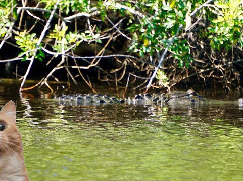 Palm Bay Marina-Palm Bay必去景点