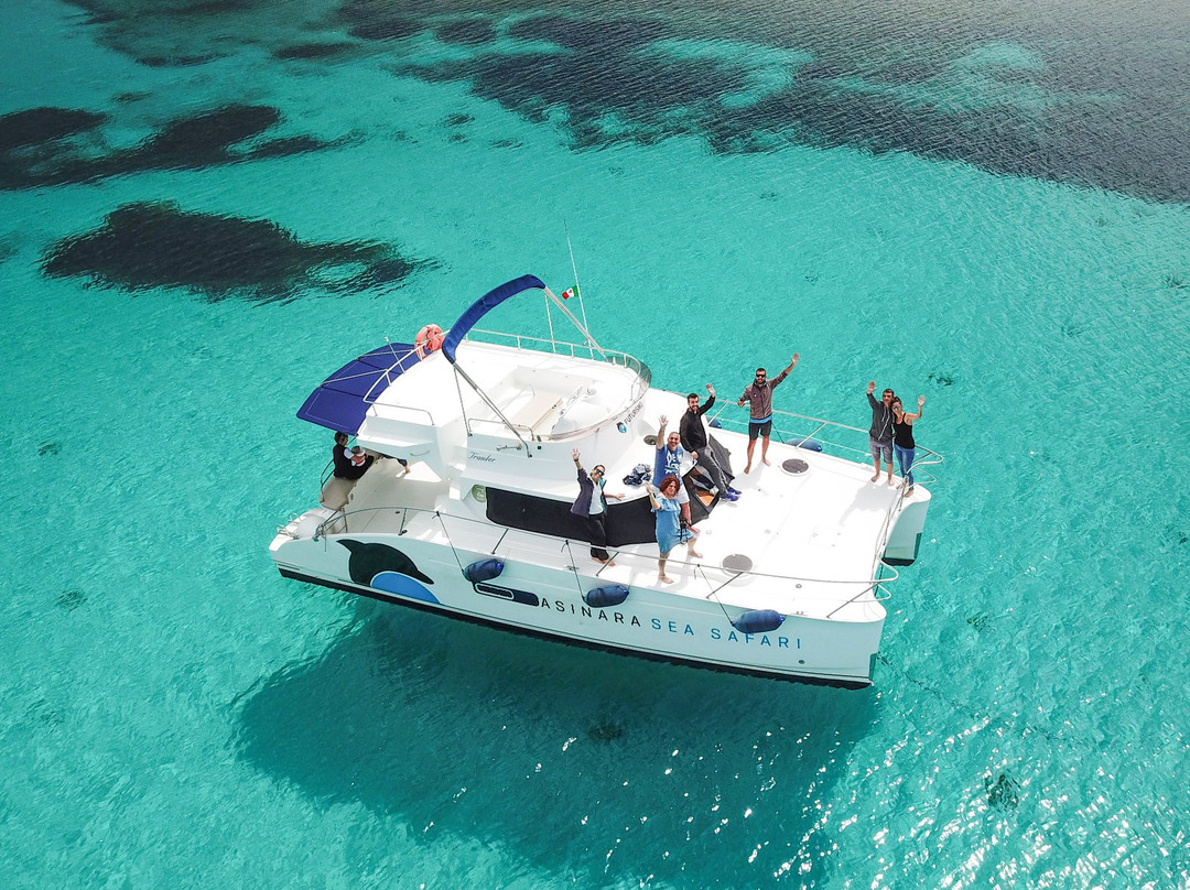 Futurismo - Escursioni Asinara-斯廷蒂诺必去景点