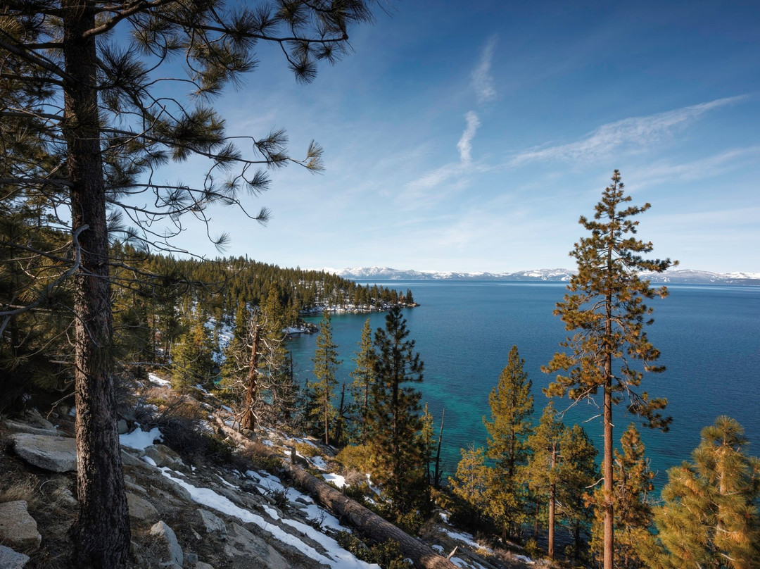 Hyatt Vacation Club At High Sierra Lodge主图