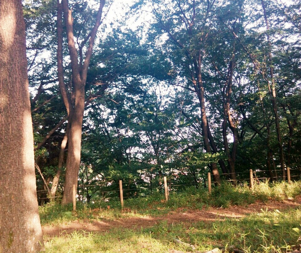 Kurokawaseiryu Park-日野市必去景点