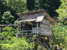 Kali Lemon Dive Resort主图