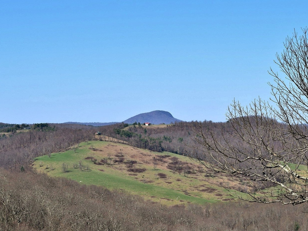 Rocky Knob Recreational Area景点图片