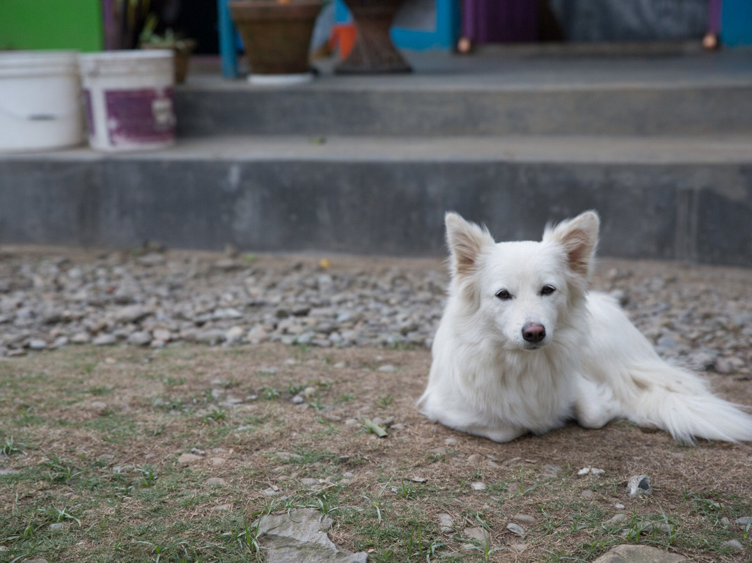 Robin's Nest Hotel & Restaurant主图