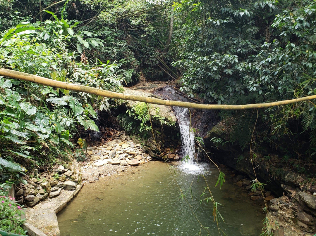 特立尼达旅游攻略图片