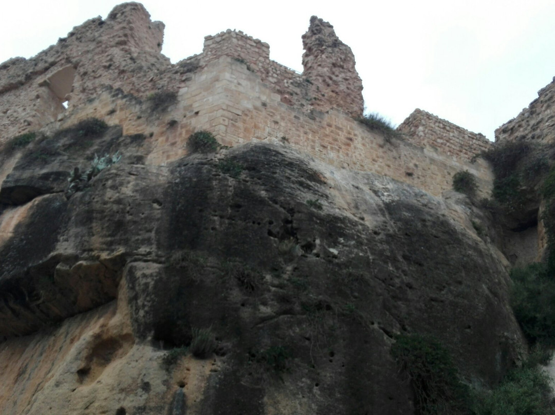 Love Xativa Tours景点图片