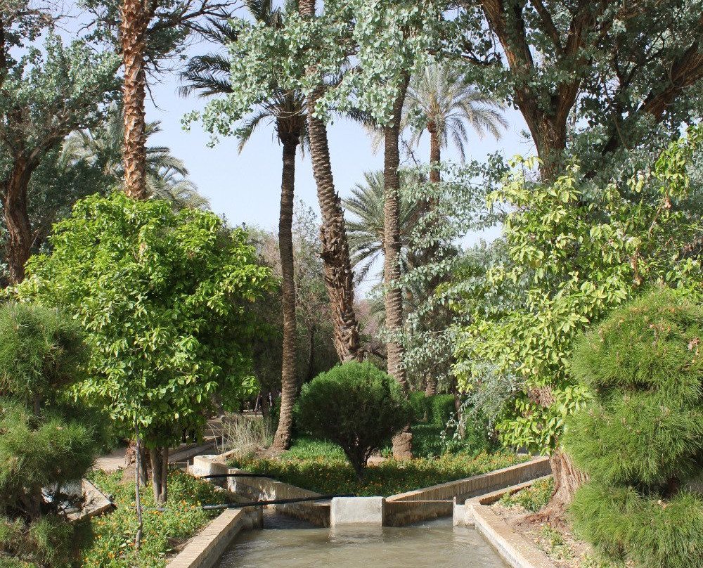 Golshan Garden باغ گلشن-Tabas必去景点