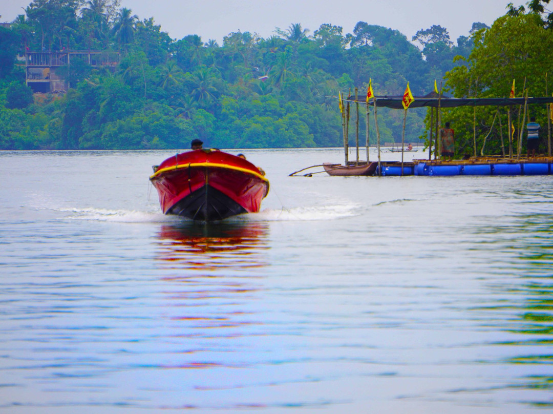Green Lagoon-加勒必去景点