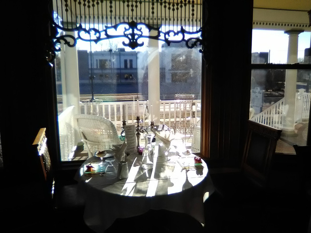 The Ginkgo Tree主图