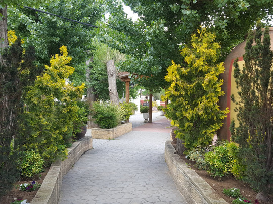 Restaurante Complejo La Chopera