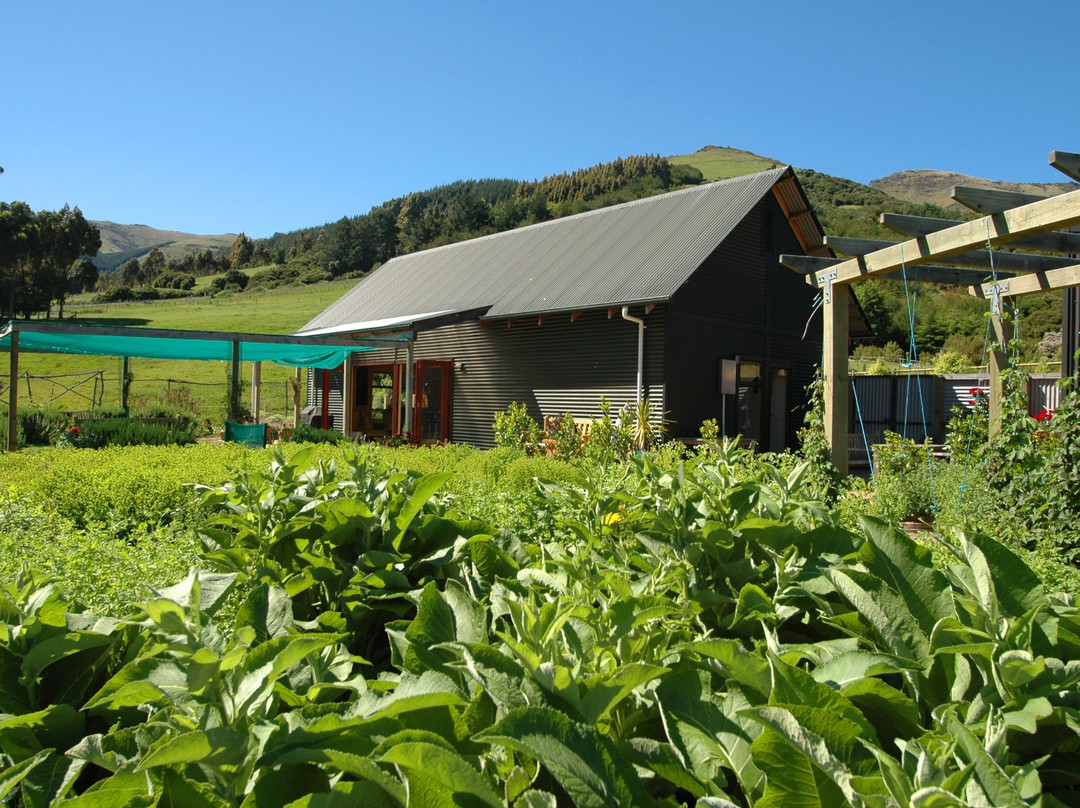 Phytofarm Herbal Learning Garden景点图片