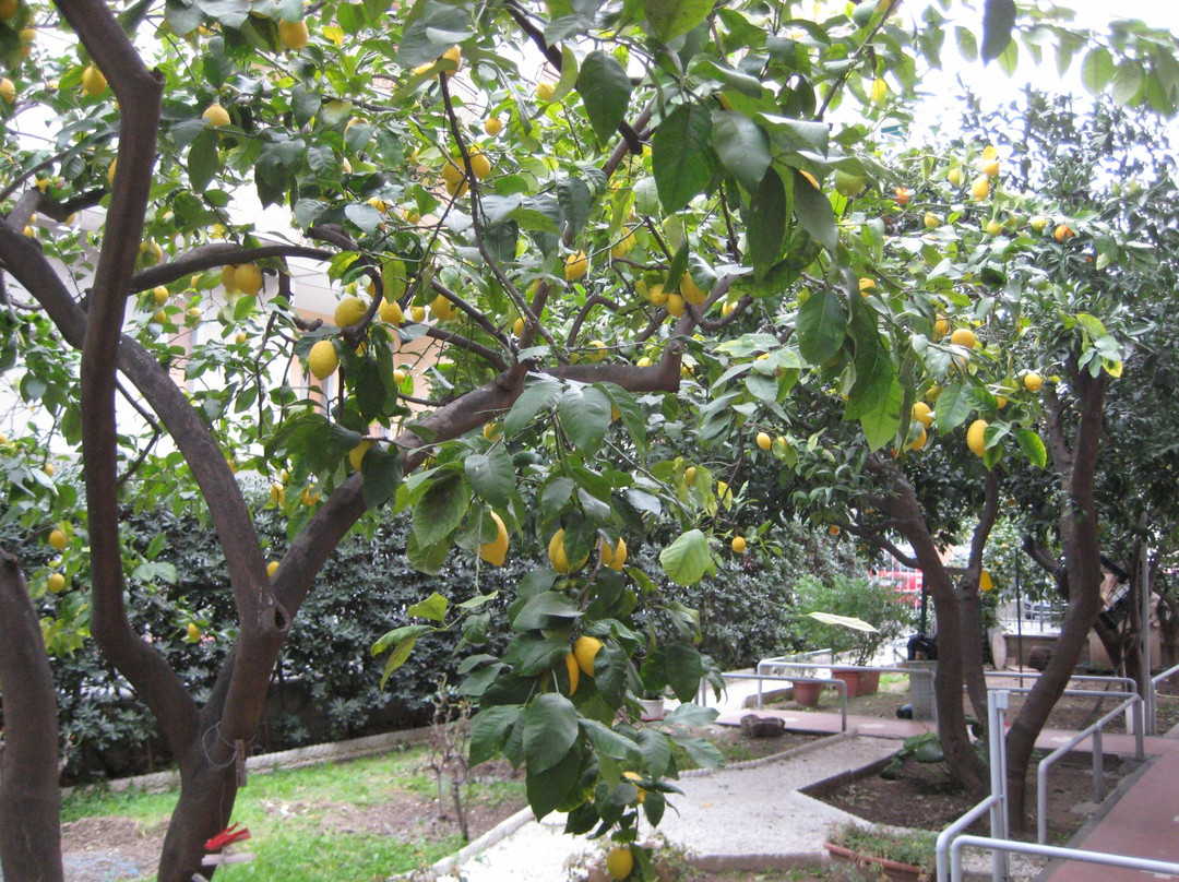 B&B Fiordarancio主图