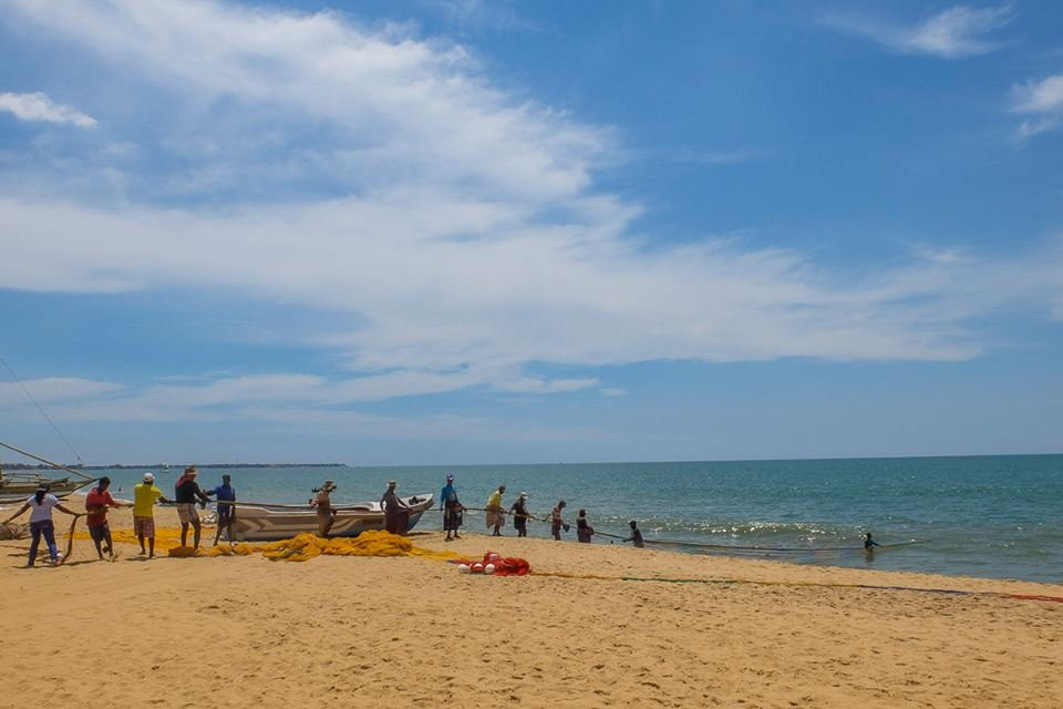 Globe Lanka Tours景点图片