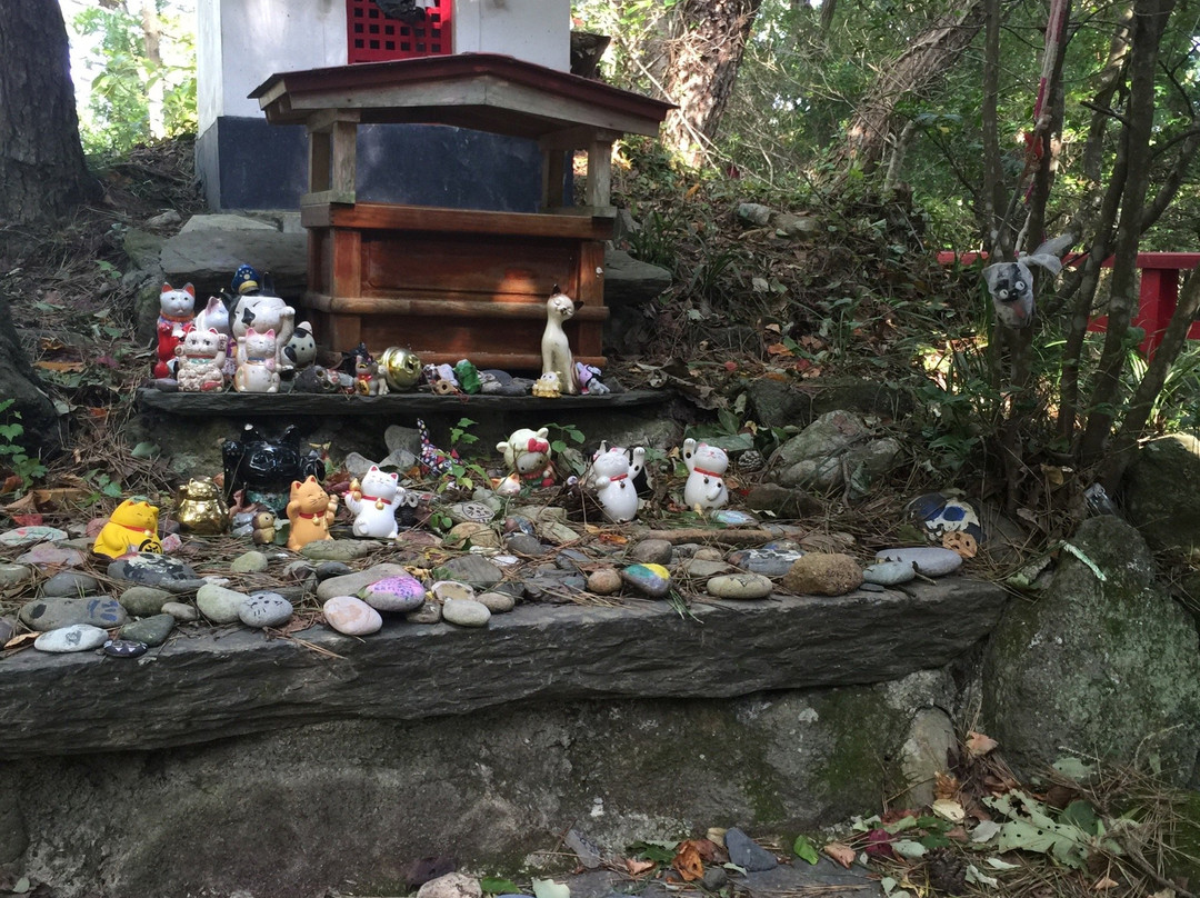 Cat Shrine-Tashirojima必去景点