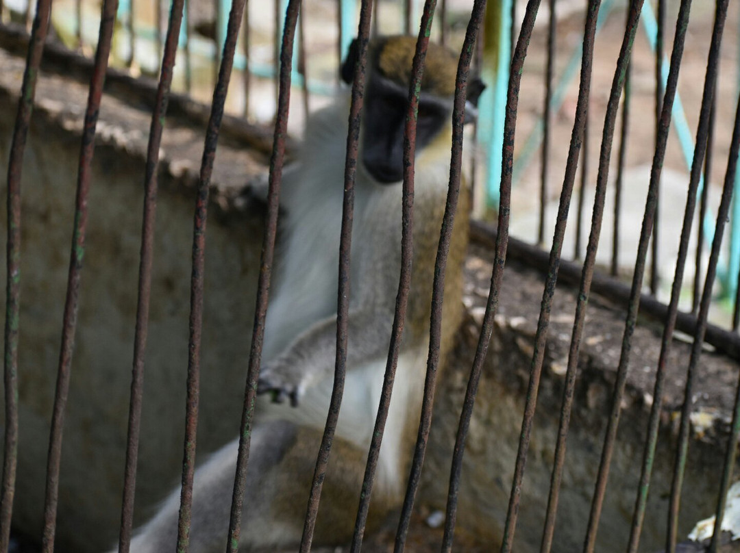 Parque Zoológico El Bosque de Sancti Spíritus景点图片